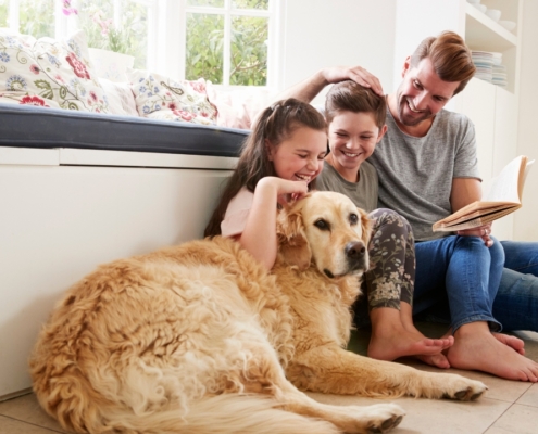 Home Security with Pets